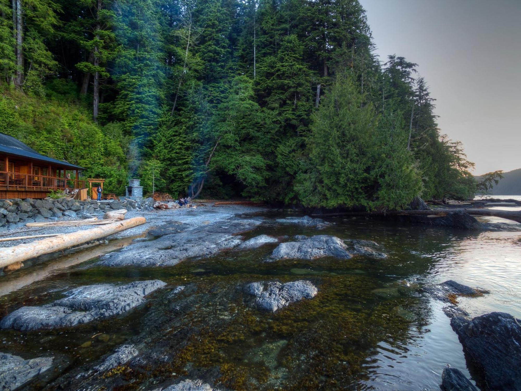 Wild Renfrew Seaside Cottages Port Renfrew Pokoj fotografie
