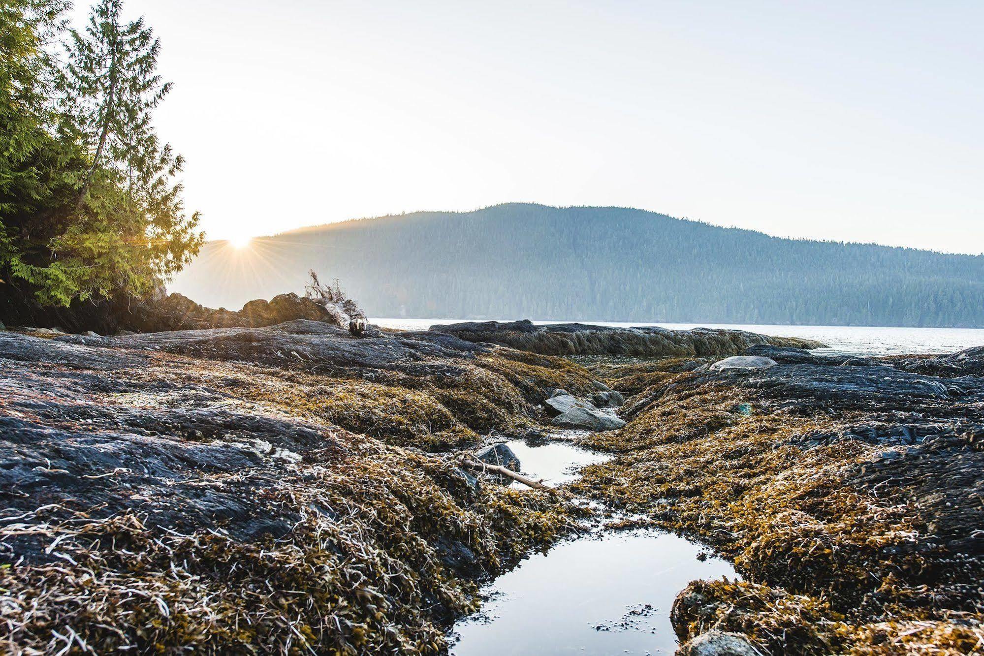 Wild Renfrew Seaside Cottages Port Renfrew Exteriér fotografie