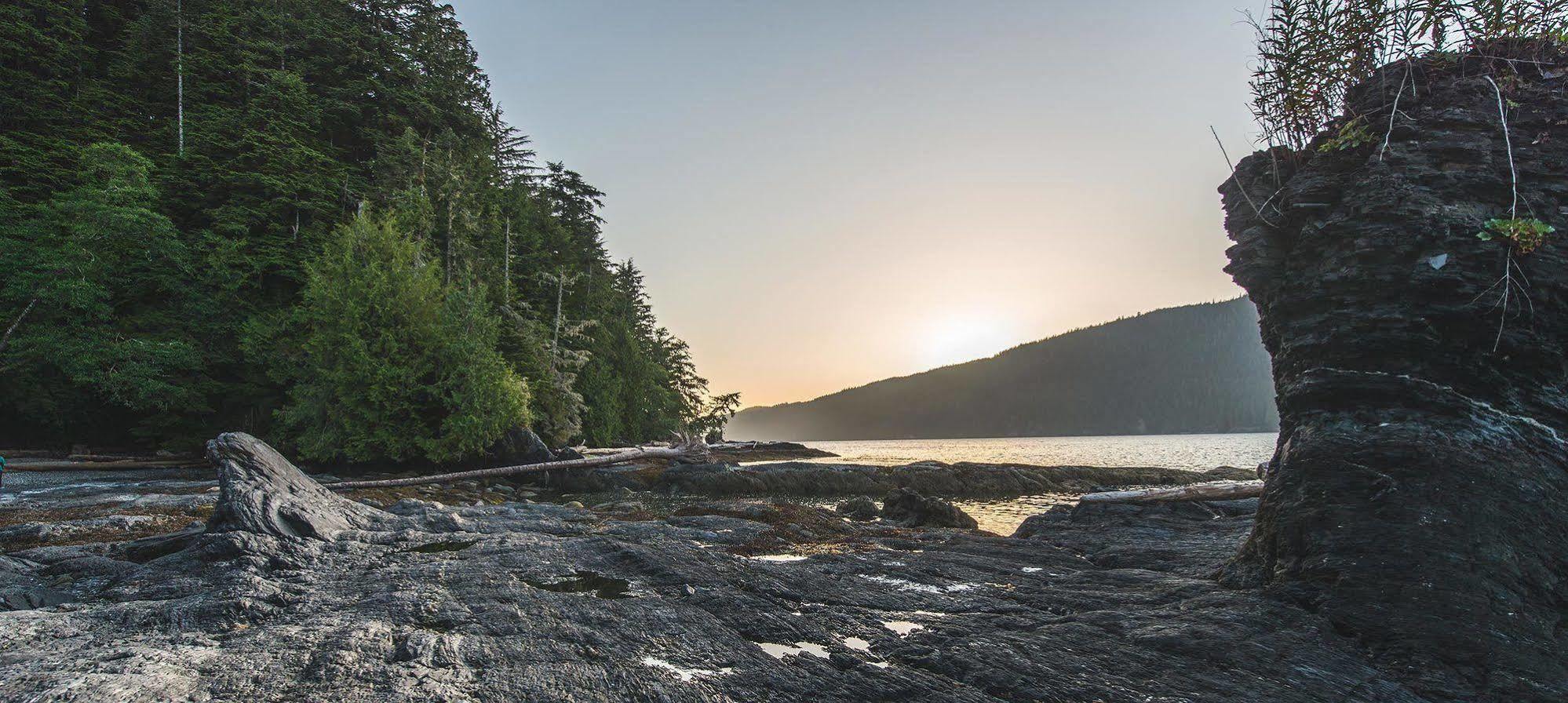 Wild Renfrew Seaside Cottages Port Renfrew Exteriér fotografie